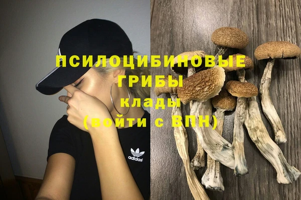 MESCALINE Горно-Алтайск